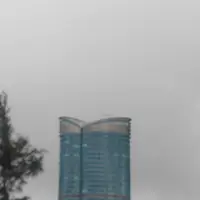 一梦一阑珊