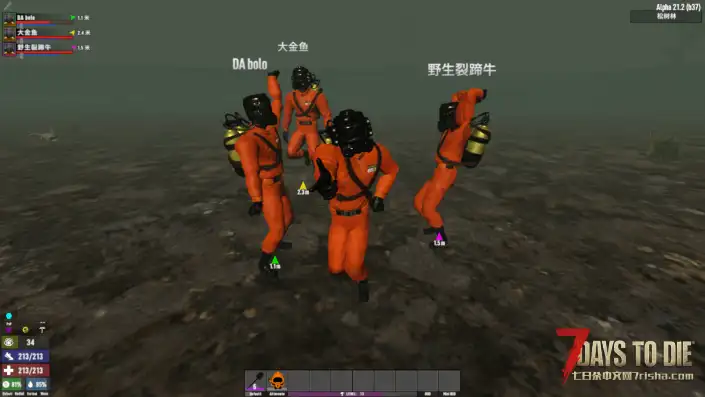 全网首发！你所见过最优秀的A21整合包！！！
