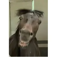 一年四季平安
