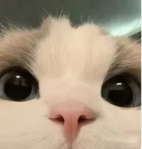早上一定要签