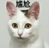 小萘