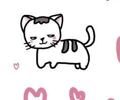 KiMoMI