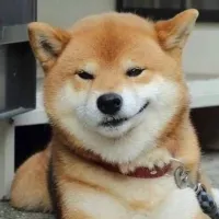 到处溜哒