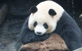 湾湾1005