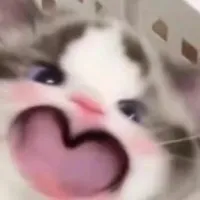 ㅤㅤㅤ够钟