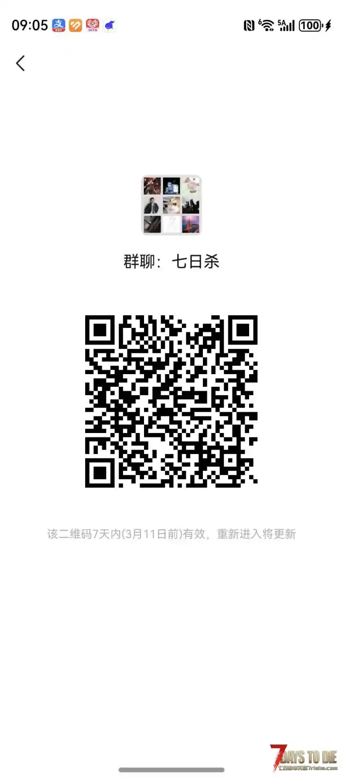 纯净版已开三年了布丁服务器