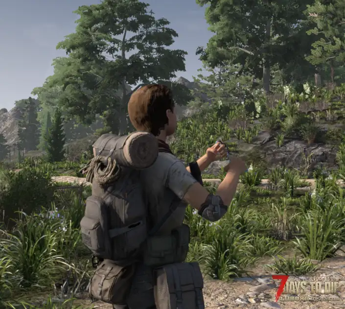 【刷宝无限DLC】七宗罪近战武器DLC(7月20日更新)(取消加密/可联机/非独立)