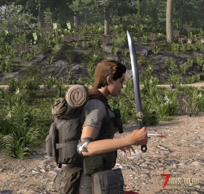 【刷宝无限DLC】七宗罪近战武器DLC(7月20日更新)(取消加密/可联机/非独立)