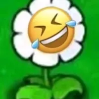 南有乔木