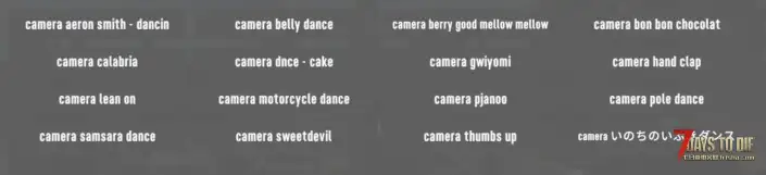 CustomAvatars 16首舞蹈分享-五一礼物