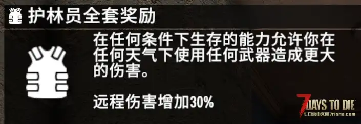 个人汉化 原版所有护甲效果及套装效果调整 BR Armor Balance 1.0