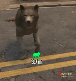 狗狗4.0