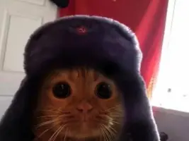 WispX