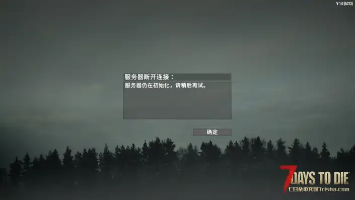 求助服务器一直卡在服务器仍在初始化，后台也在一直跳黄字TAT