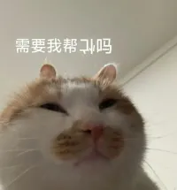 火狐狸_738