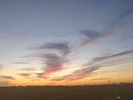 孤岛_297