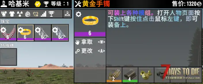 【小型Mod】不占用原版护甲槽 饰品（3.X版本通用）