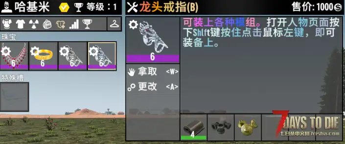【小型Mod】不占用原版护甲槽 饰品（3.X版本通用）