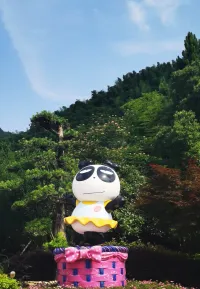 洁净橡皮擦