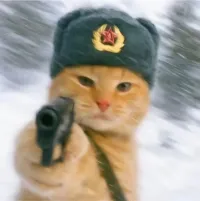 轻起轻洛