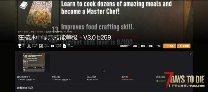 V3.0 在描述中显示技能等级