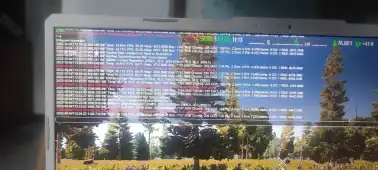 求助