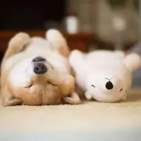 Gybngd