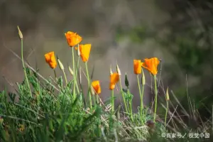 无言以对_887