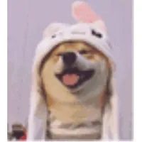 轻弦