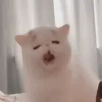 观后无感