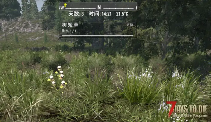 所见即所看，看向目标，即知其意