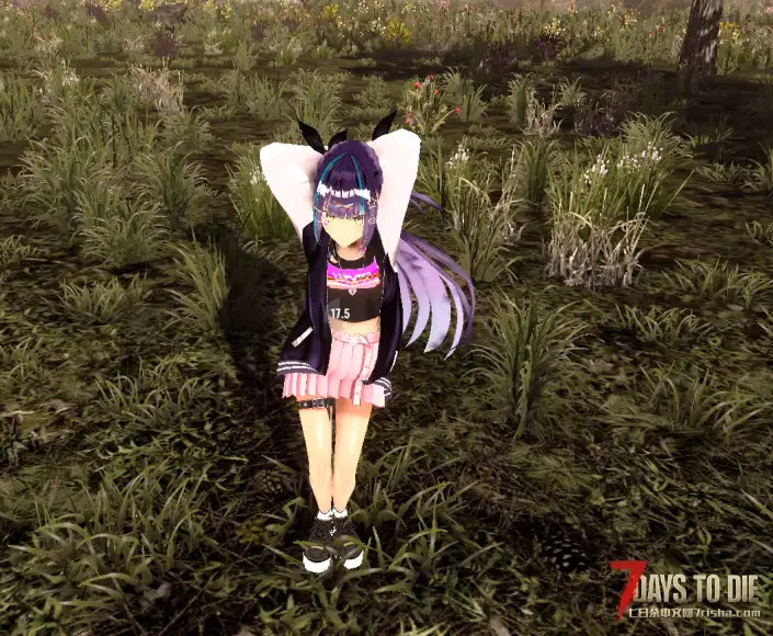 【小型MOD】A21角色MOD-v2.3.6-4月8日更新