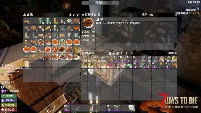 A20.6农场