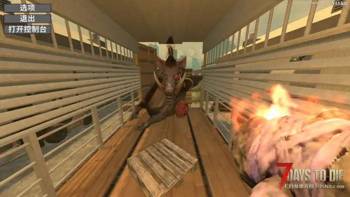 家人们，碰上三猪王房了