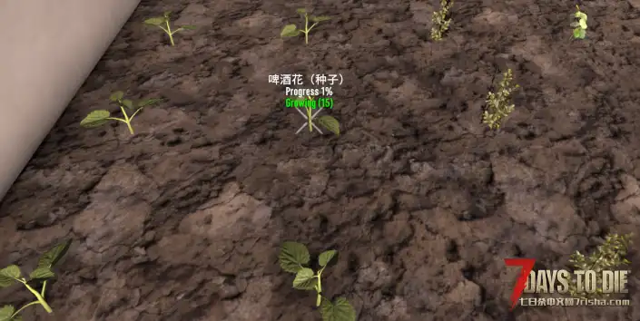 V2.0 和 2.1 稳定版植物生长信息