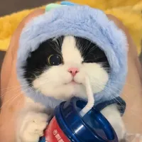 Bruce_705