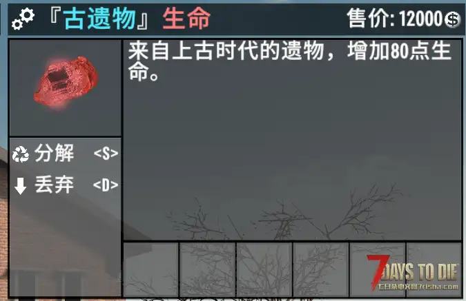 【小型MOD】遗物宝石第一期_更多功能饰品/直连（1.0/1.1/原创）