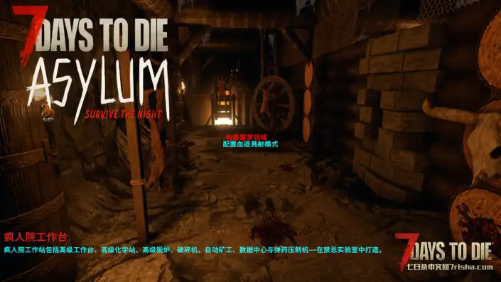 【好玩汉化】大型模组-飞跃疯人院(The Asylum)8G内容 游戏版本2.4!优质汉化