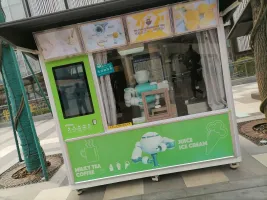 海鸥的背影