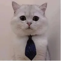 人生往惜