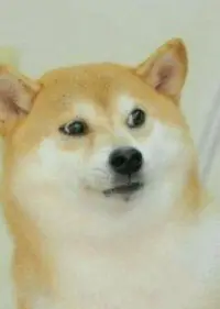 大X刀