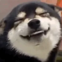 Can҉_128