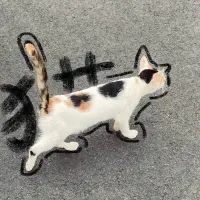 华华想养猫