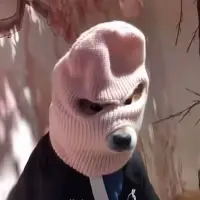 ⛄_167