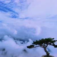 懒惰_171
