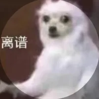 橘_771