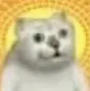 •_393