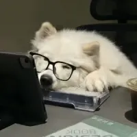 猥琐发育