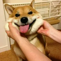 阿鑫＇