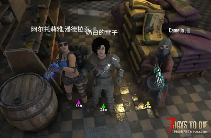 7.28新档 原版纯净服务器 萌新天堂